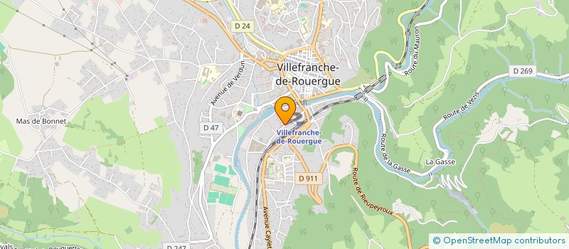 localisation de l'entreprise MONSIEUR RICHARD BELVEZE  VILLEFRANCHE-DE-ROUERGUE