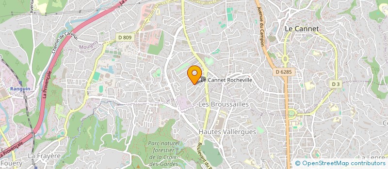 localisation de l'entreprise MONSIEUR RICHARD BOISSON à LE CANNET