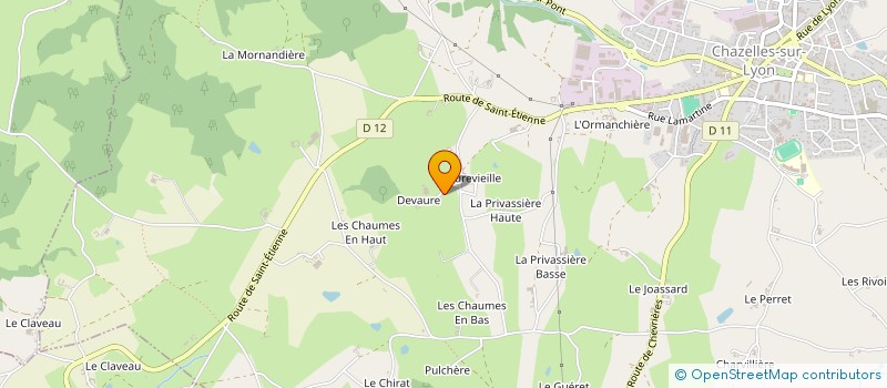 localisation de l'entreprise MONSIEUR RICHARD BOURRIN à CHAZELLES-SUR-LYON
