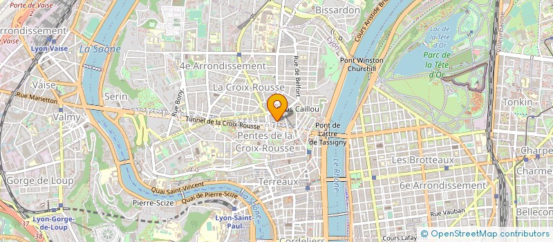 localisation de l'entreprise MONSIEUR RICHARD BRIDE à LYON