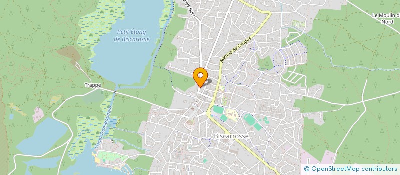 localisation de l'entreprise MONSIEUR RICHARD BROGNIEZ  BISCARROSSE