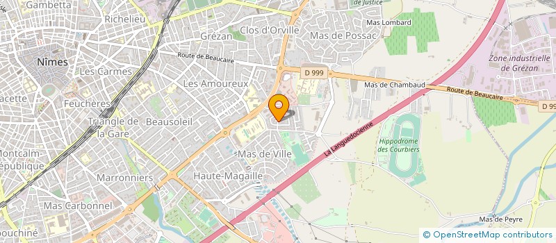 localisation de l'entreprise MONSIEUR RICHARD BUZZO  NIMES