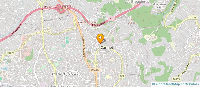 localisation de l'entreprise MONSIEUR RICHARD CARLE à LE CANNET