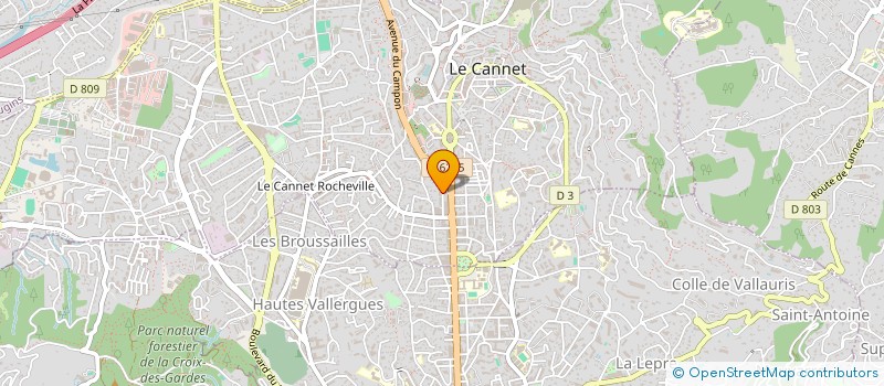 localisation de l'entreprise MONSIEUR RICHARD CASTELL à LE CANNET