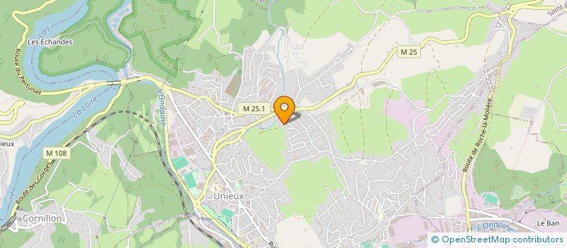 localisation de l'entreprise MONSIEUR RICHARD CHAMBRIER  UNIEUX