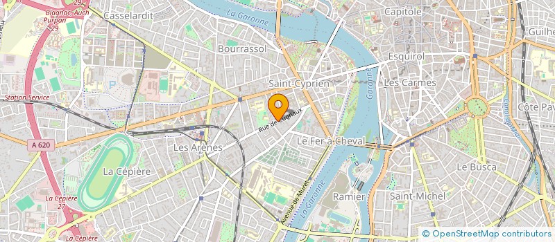 localisation de l'entreprise MONSIEUR RICHARD COUSIN  TOULOUSE