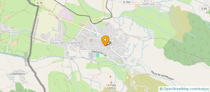 localisation de l'entreprise MONSIEUR RICHARD DENJEAN  OSSEJA