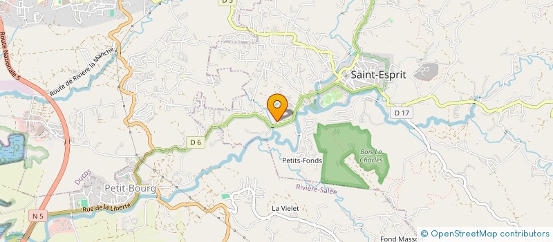 localisation de l'entreprise MONSIEUR RICHARD DEVOYON  SAINT-ESPRIT