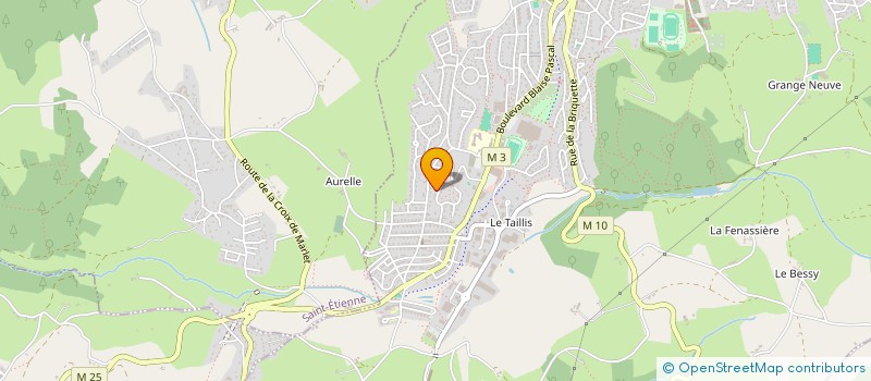 localisation de l'entreprise MONSIEUR RICHARD DIDIER  ROCHE-LA-MOLIERE