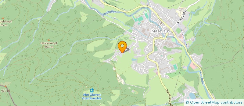 localisation de l'entreprise MONSIEUR RICHARD DUCOTTET  MASEVAUX-NIEDERBRUCK