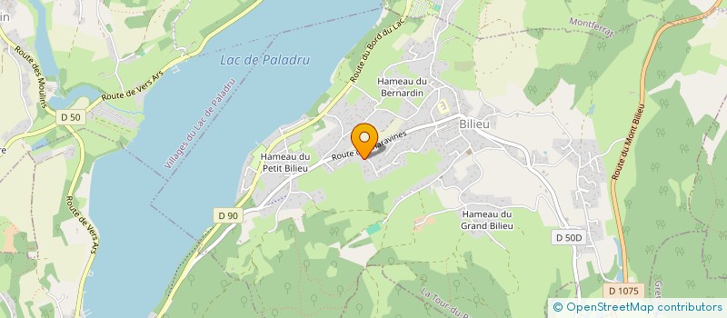 localisation de l'entreprise MONSIEUR RICHARD DUCREUX  BILIEU