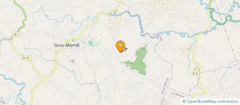 localisation de l'entreprise MONSIEUR RICHARD EDMOND  GROS-MORNE