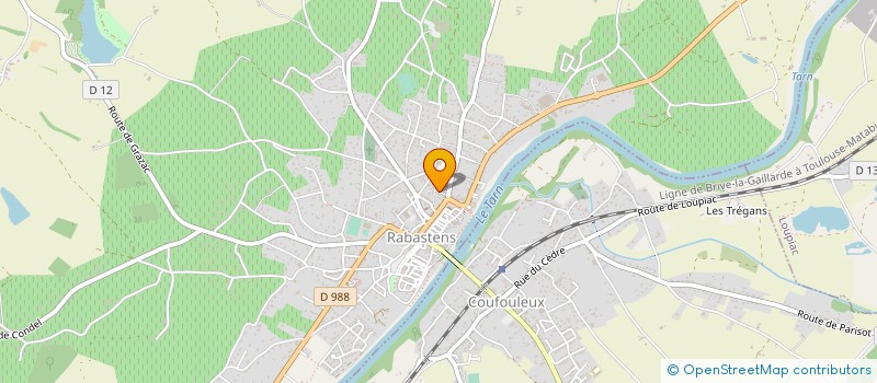 localisation de l'entreprise MONSIEUR RICHARD ELASRI  RABASTENS