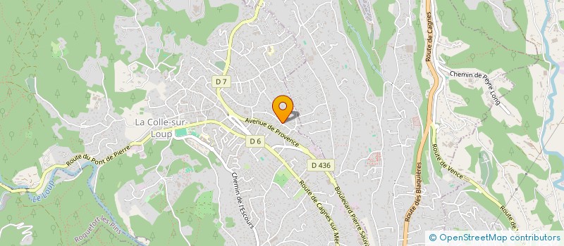 localisation de l'entreprise MONSIEUR RICHARD FALLONI  LA COLLE-SUR-LOUP