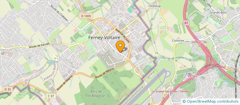 localisation de l'entreprise MONSIEUR RICHARD FERNANDEZ à FERNEY-VOLTAIRE