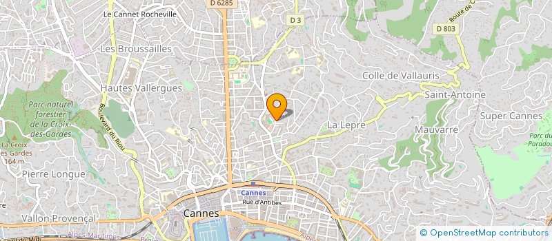 localisation de l'entreprise MONSIEUR RICHARD FERRI-PISANI à CANNES
