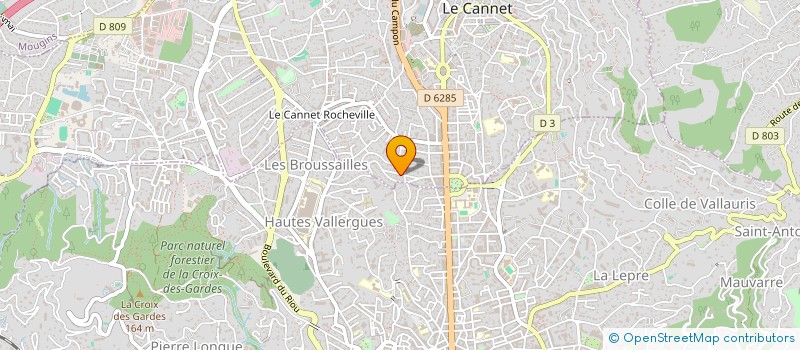 localisation de l'entreprise MONSIEUR RICHARD FISCHER à LE CANNET