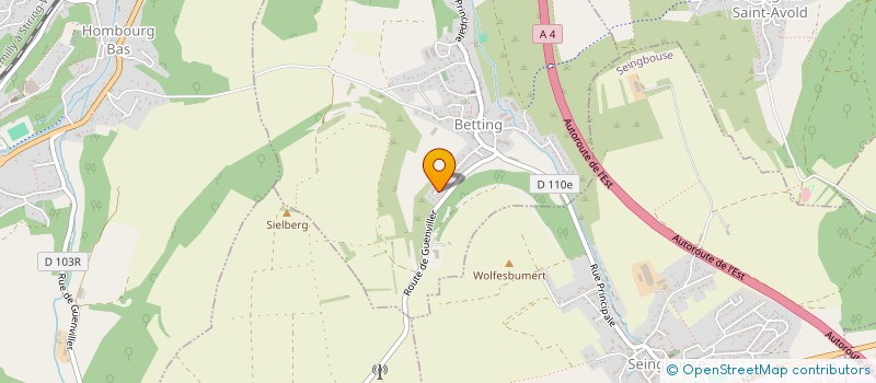 localisation de l'entreprise MONSIEUR RICHARD GAERTNER  BETTING