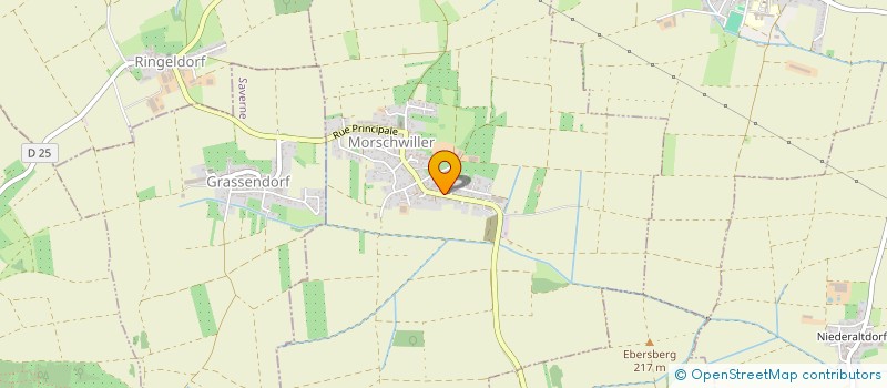 localisation de l'entreprise MONSIEUR RICHARD GRAVIER  GRASSENDORF