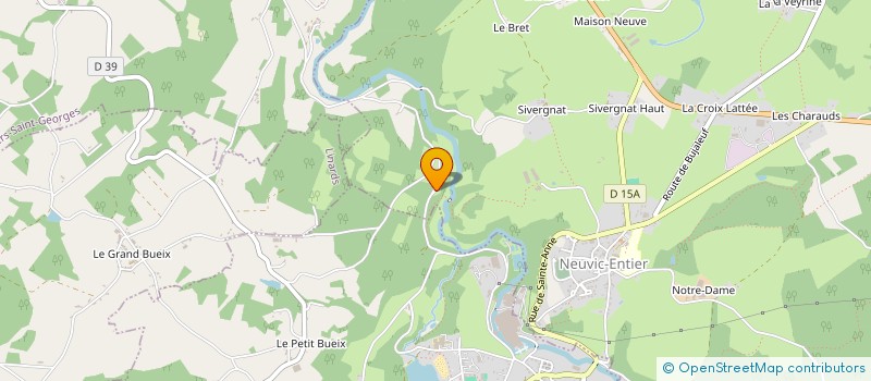 localisation de l'entreprise MONSIEUR RICHARD HENDERSON  NEUVIC-ENTIER