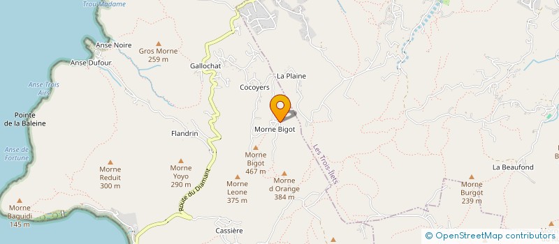 localisation de l'entreprise MONSIEUR RICHARD JEAN-ALPHONSE  ANSES D'ARLET