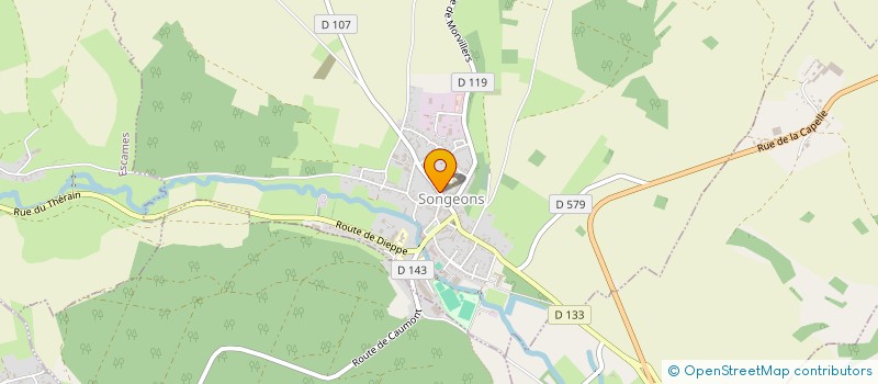 localisation de l'entreprise MONSIEUR RICHARD JOY  SONGEONS