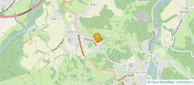 localisation de l'entreprise MONSIEUR RICHARD KNIGHT  MONTSAUNES