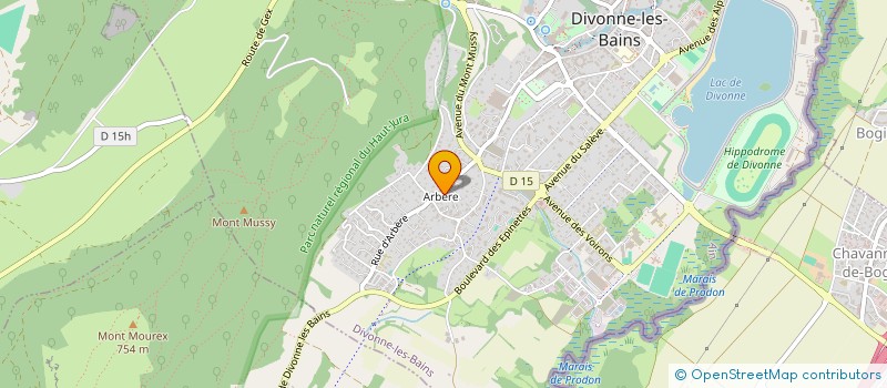 localisation de l'entreprise MONSIEUR RICHARD MARTIN à DIVONNE-LES-BAINS