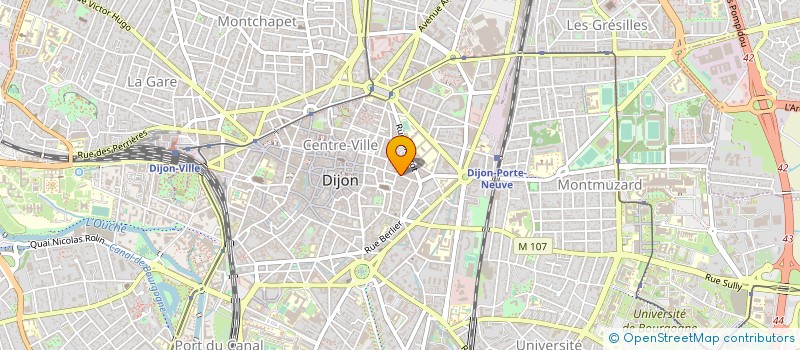 localisation de l'entreprise MONSIEUR RICHARD MENCE  DIJON