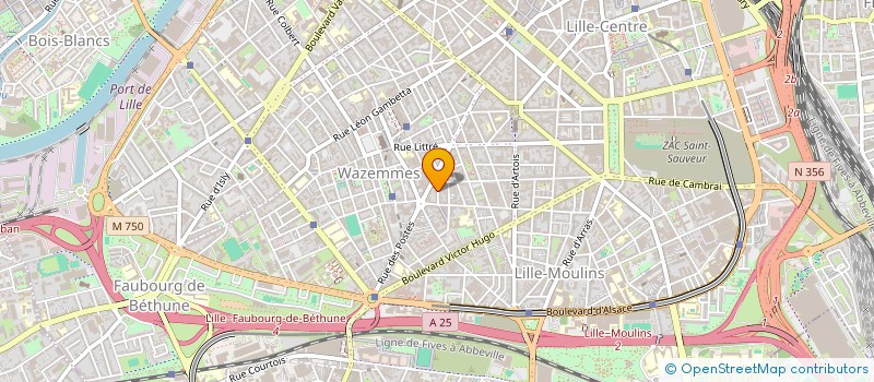 localisation de l'entreprise MONSIEUR RICHARD MERRETT à LILLE