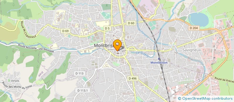 localisation de l'entreprise MONSIEUR RICHARD MONTAILLARD à MONTBRISON