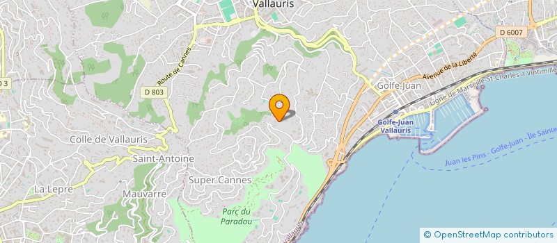 localisation de l'entreprise MONSIEUR RICHARD NILSSON à VALLAURIS