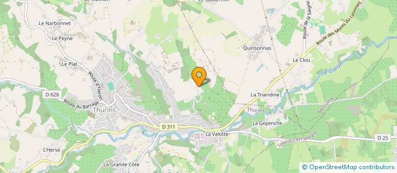 localisation de l'entreprise MONSIEUR RICHARD RATTON  THURINS