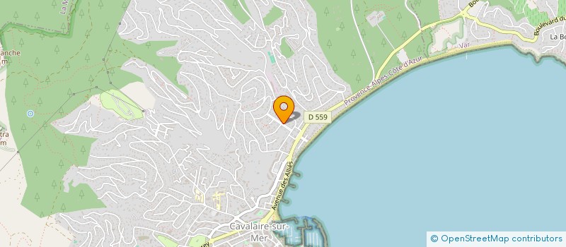 localisation de l'entreprise MONSIEUR RICHARD REBOTIER à CAVALAIRE-SUR-MER