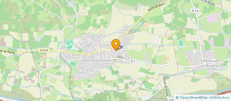 localisation de l'entreprise MONSIEUR RICHARD RUIZ  PEZILLA-LA-RIVIERE