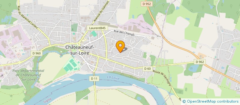 localisation de l'entreprise MONSIEUR RICHARD SELLINI à CHATEAUNEUF-SUR-LOIRE