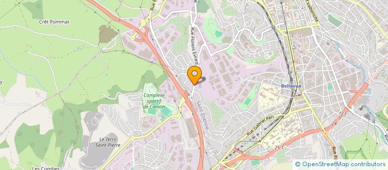 localisation de l'entreprise MONSIEUR RICHARD TORNAMBE  SAINT-ETIENNE