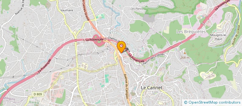 localisation de l'entreprise MONSIEUR RICHARD TRIPODI  MOUGINS