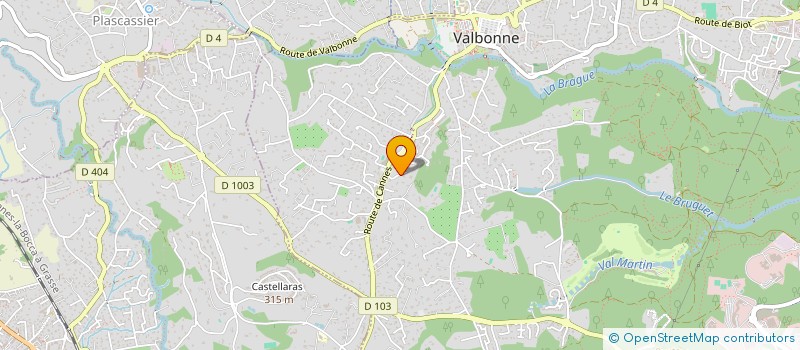 localisation de l'entreprise MONSIEUR RICHARD TROIVILLE  VALBONNE