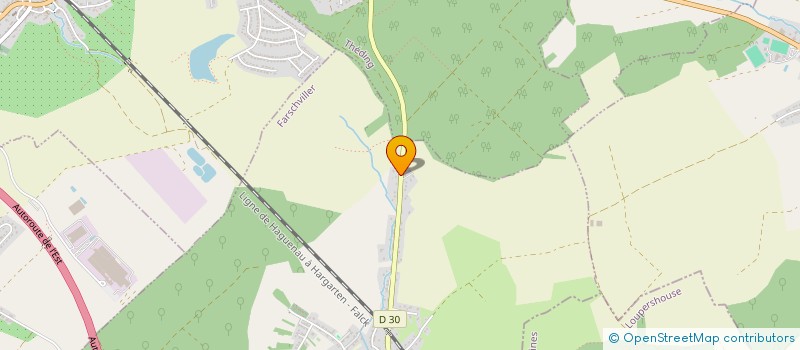 localisation de l'entreprise MONSIEUR RICHARD WINTERSTEIN  THEDING