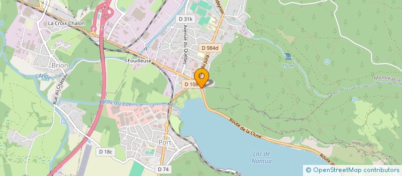 localisation de l'entreprise MONSIEUR RICKEN TAVARES MARQUES  NANTUA