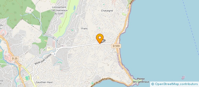 localisation de l'entreprise MONSIEUR RIDHA MANSOURI à SAINTE-MAXIME