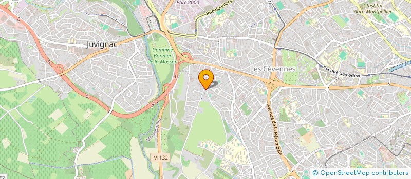 localisation de l'entreprise MONSIEUR RIDOUAN ZOUHIR à MONTPELLIER