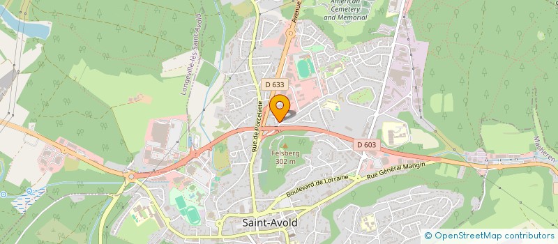 localisation de l'entreprise MONSIEUR RIDOUANE BENAMAR  SAINT-AVOLD