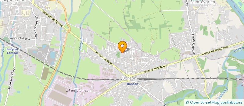 localisation de l'entreprise MONSIEUR RIDVAN YAVAS  SAINT-CYPRIEN