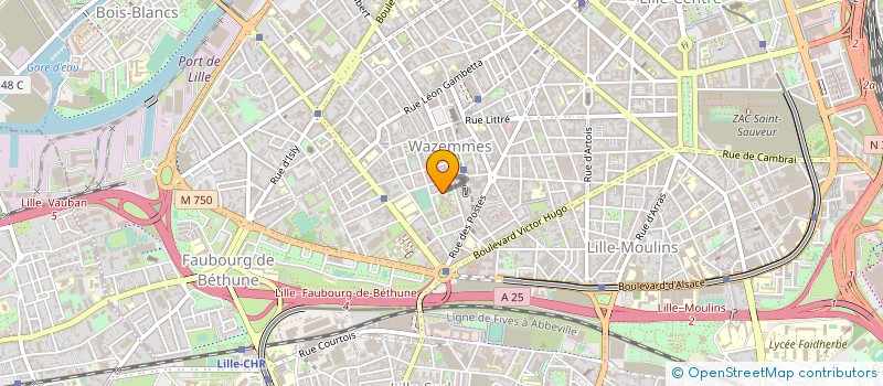 localisation de l'entreprise MONSIEUR RIGOBERT BELONNI à LILLE