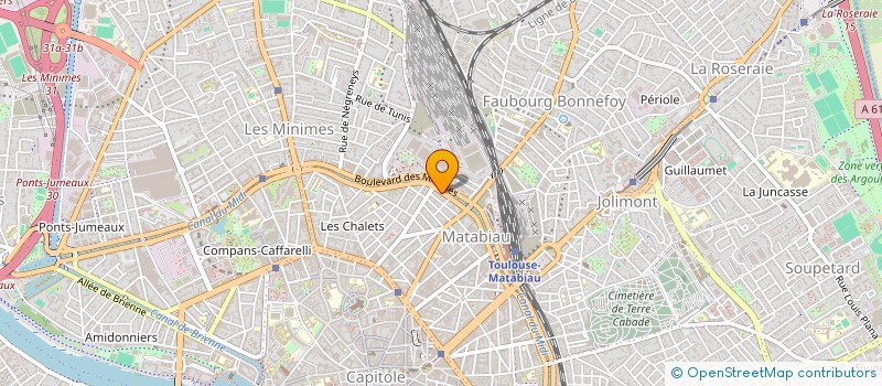 localisation de l'entreprise MONSIEUR RIIADH RHOUMA  TOULOUSE