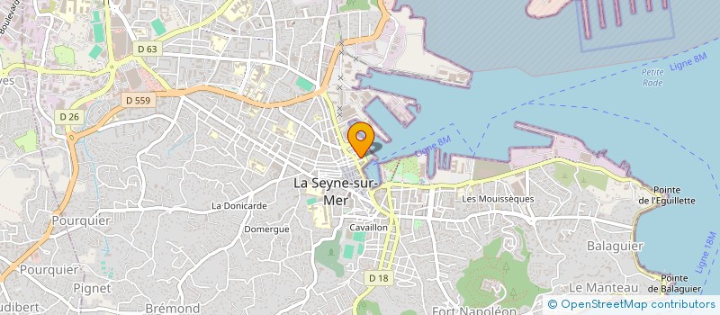 localisation de l'entreprise MONSIEUR RIM KHEDHIRI  LA SEYNE-SUR-MER