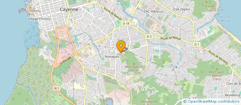 localisation de l'entreprise MONSIEUR RINALDO GAGOE  CAYENNE