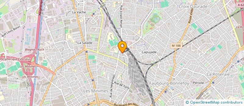 localisation de l'entreprise MONSIEUR RINKU PALMA  TOULOUSE